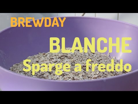Blanche - a difficult beer with cold SPARGE and elderflower