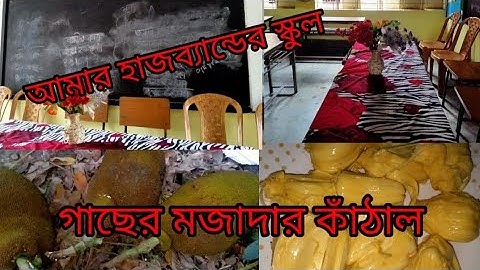 কাঁঠাল গাছ থেকে কাঠাল পাড়া হলো ও খেলাম /ছেলের মাদ্রাসায় ও আমার হাজবেন্ড এর স্কুলে গেলাম