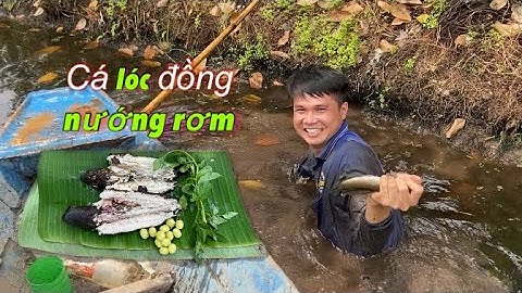 Westerse specialiteiten van gegrilde slangenkopvis met geurig stro