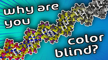 Genetics of Colorblindness