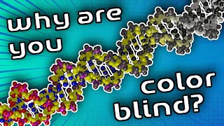 Celebrity Genetics of Colorblindness Wealth