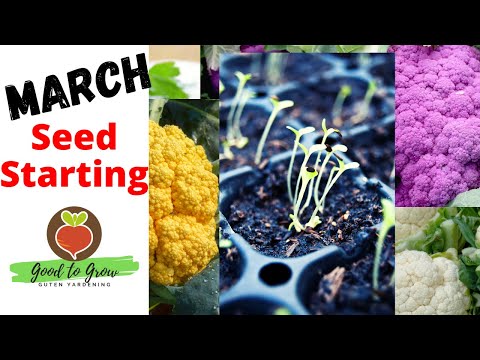 Vegetables to Plant in March | Zone 5 Seed Starting Indoors Gardening 101 | Zone 5 Gardening