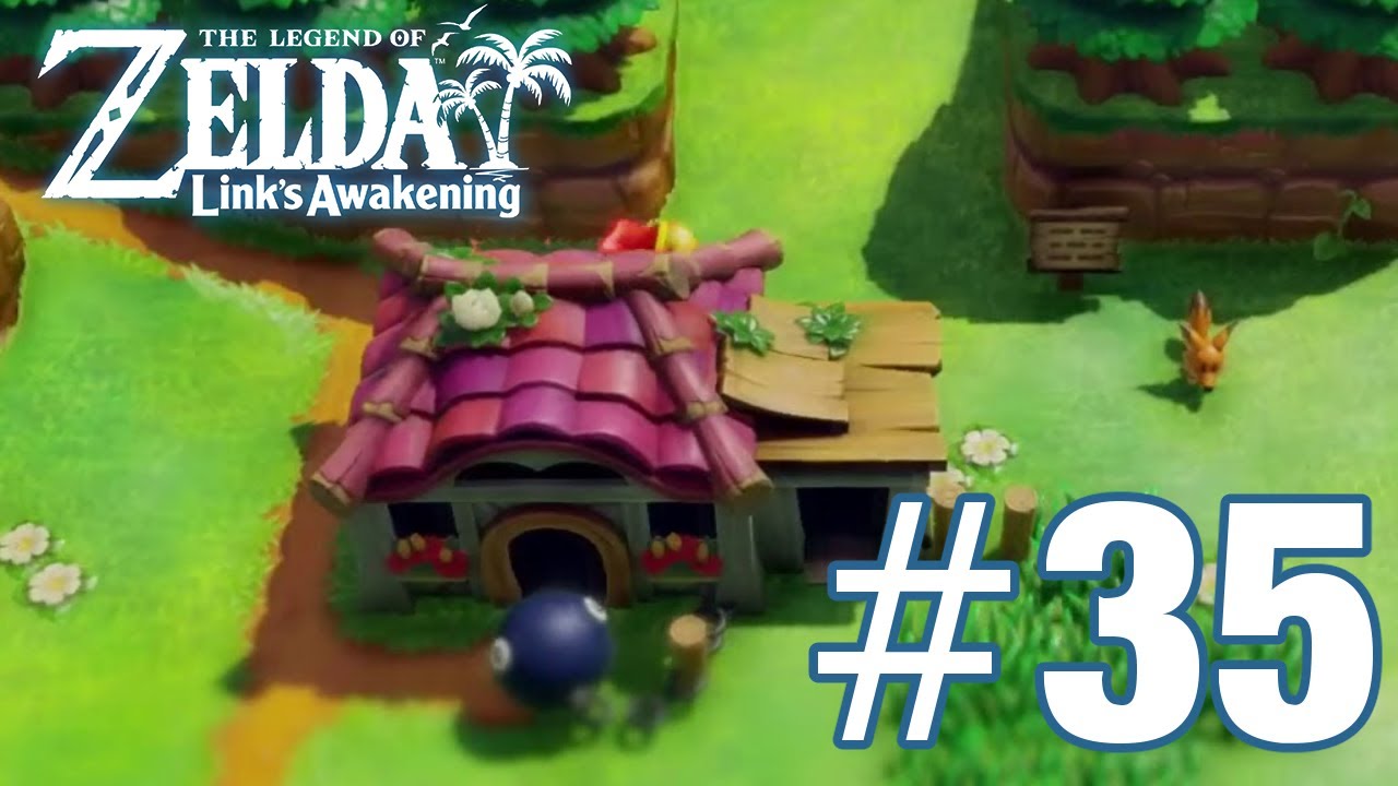 Collecting Seashells The Legend of Zelda Link's Awakening 35 YouTube