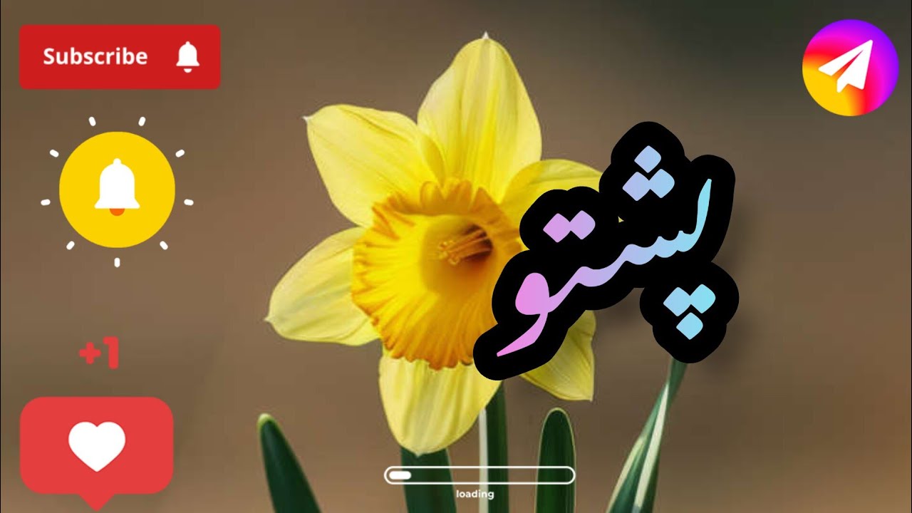 new pashto nazm 2025 | چادر پوشی دستار بندی |heart touching۔