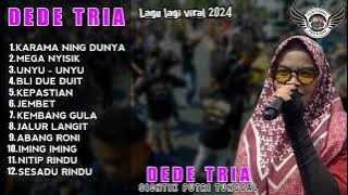 FULL ALBUM, DEDE TRIA || SICNTIK PUTRI TUNGGAL || YANG TERBARU 2024
