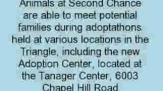 I GoodSearch for Second Chance Pet Adoptions
