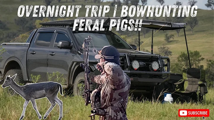 Over Nighter | BowHunting Feral Pigs 