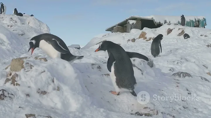 10 Mind Blowing Football Facts You Didn't Know