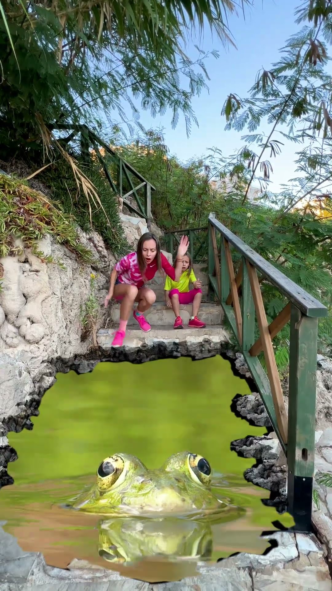 OMG When meet a frog on the stairs #shorts TikTok by anya Kova