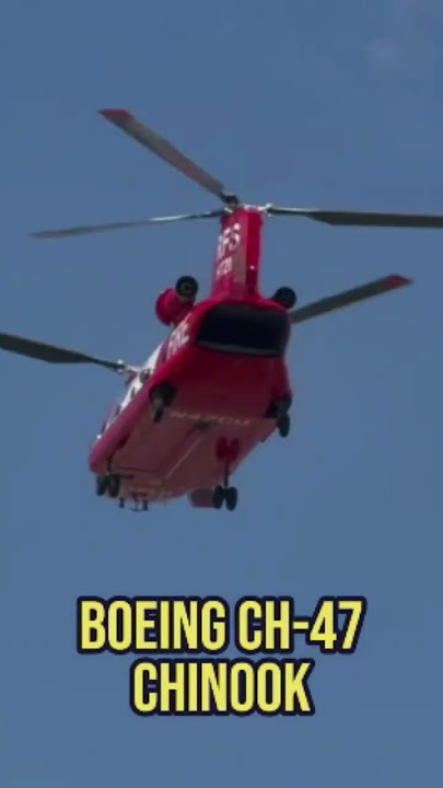 Boeing CH-47 Chinook helicopter Richmond Airshow #aviation #military #airshow2025