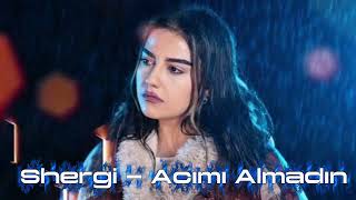Shergi - Acımı Almadın Yaramı Sarmadın Remix 2025