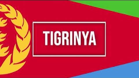 GoFundMe - Legal fees for the prosecution of the attackers targeting Eritrean volunteers in Giessen