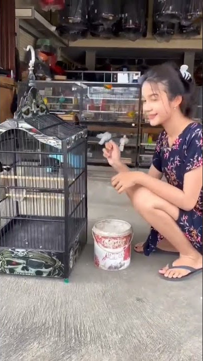 cewe yang suka mainin burung😃