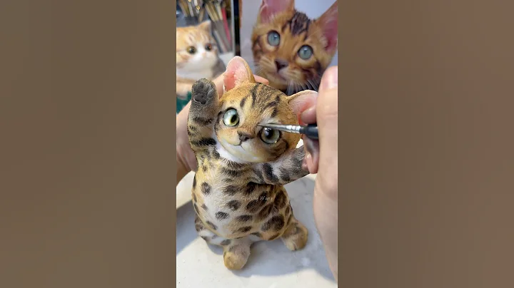 Video 8528721: bengal leopard cat, cute bengal leopard, silver bengal cat