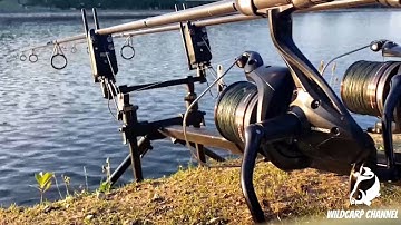 DELKIM CARP RUN COMPILATION! PART 2!