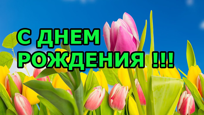 Навигация по записям