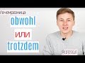 OBWOHL или TROTZDEM? РАССМОТРИМ НА ПРИМЕРАХ + задание! В чем разница немецких слов?