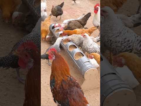 استفادت أمي كثيرا من هادا الابتكار والاختراع العبقري = simple inventions diy crafts #اختراعات