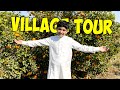 Our village tour 