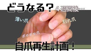 OPI NAIL ENVY 薄くなってボロボロの爪を約１ヶ月間、ネイル集中ケア♪OPIネイルエンビーの使い方と結果報告！