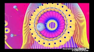 Show Tv Moldova Ident