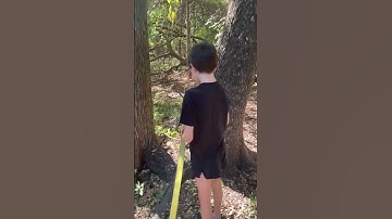 Two Trees that Share a Root