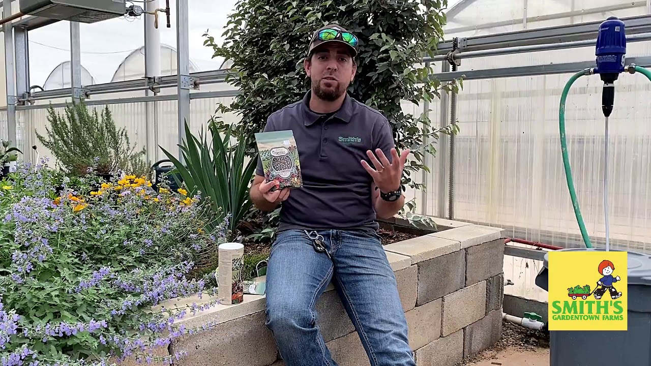 Mycorrhizae What Is It How Can It Help Your Plants Youtube