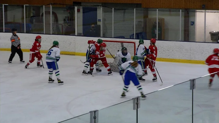 Benilde-St. Margarets Tops Blake in Girls Hockey