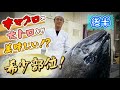 大トロより旨い！本マグロの頭！！（後半）