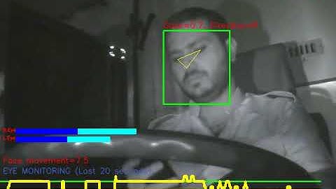 Mobile Usage | Eyedentify | Driver Monitoring & Alerting System