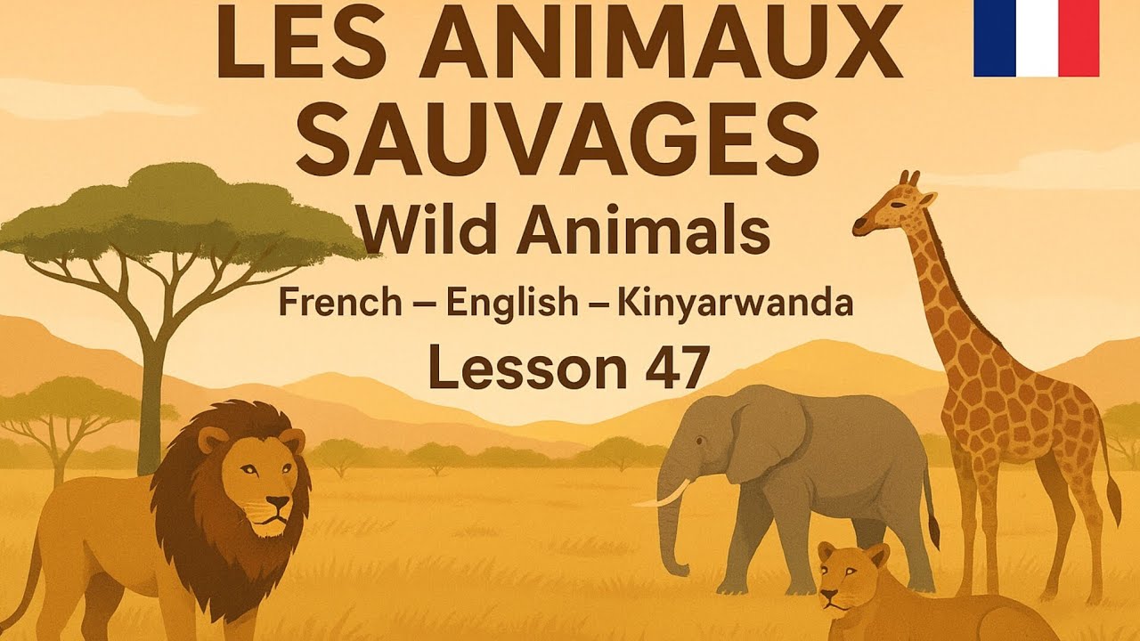 French Lesson 47: Les Animaux Sauvages – Wild Animals (French–English ...