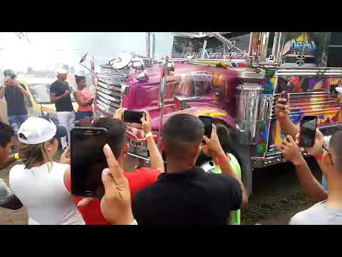 Ingratos panama entrada en la pagoda by imponentes car club