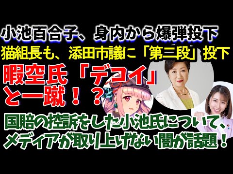 【学歴詐称疑惑】小池百合子、身内から爆弾投下、猫組長も、添田市議に「第二段」投下、暇空氏「デコイ」と一蹴！？東京都国賠敗訴の控訴をした小池都知事について、メディアが取り上げない闇の深さが話題！