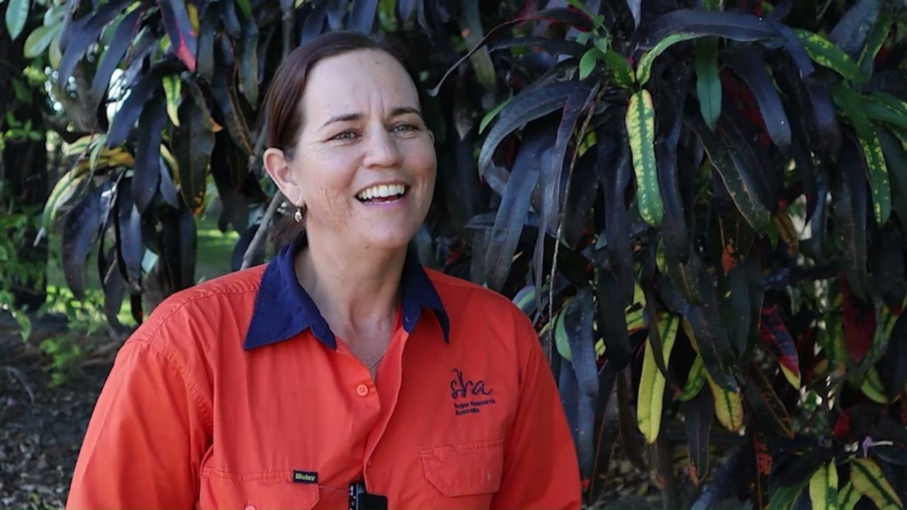 Innovative practices in sugarcane: economic and environmental benefits