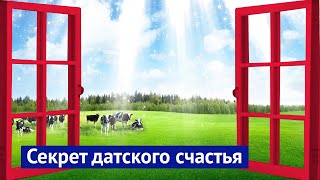 Как надо строить современное жильё: пример из Копенгагена