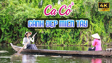 Ca Vọng Cổ Miền Tây Hơi Dài Ngắm Cảnh Đẹp Dễ Ngủ - Ca Cổ Cải Lương Xưa Ru Ngủ Hay Nhất🌾Tân Cổ Dân Ca