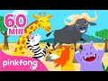 Animlales de la Selva | ¡Hola, Búfalo! | Recopilación | Pinkfong Canciones Infantiles