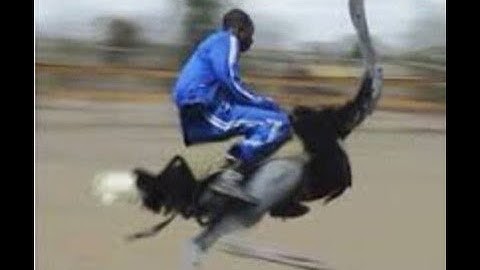 Private Match #15 ft. SoaR Plasma