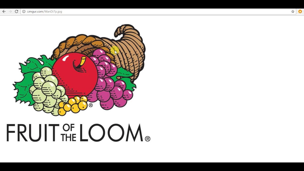 fruit of the loom