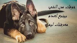 تجربتي الشخصية وتعليقي على قرار ٢٠٢٣ بحظر انواع كلاب في مصر