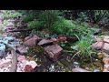 ASMR Japanese Zen Garden Creek