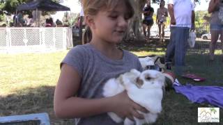 San Diego House Rabbit Society - Bunnyfest 2014