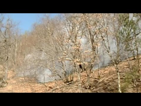 ხანძარი რეგიონებში