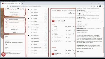 Custom Sheet Things (Actions/Items/More) - D&D Beyond