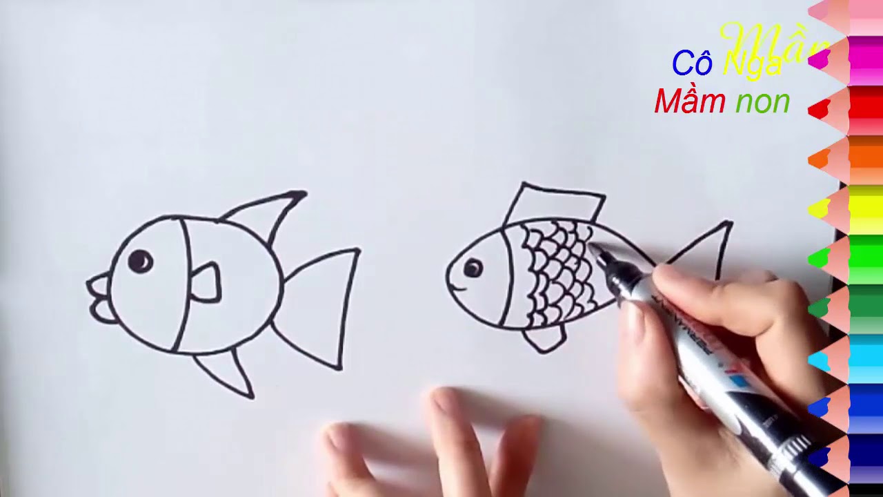 Dạy Bé Vẽ Con Cá - How To Draw A Fish - Youtube