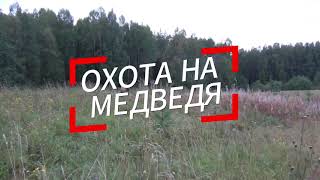 Охота на медведя #охота #мужики #охотник #кабан #медведь #деревня #бурыймедведь #охотавидео #влес