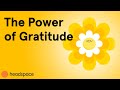 Understanding Gratitude
