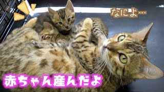 【ご報告】赤ちゃんが産まれました