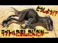 肉食恐竜ラプトルをたおしたんだがどうしよう!? 恐竜版リアルマインクラフトで弱肉強食サバイバル!! #2 - ARK Survival Evolved - 実況プレイ