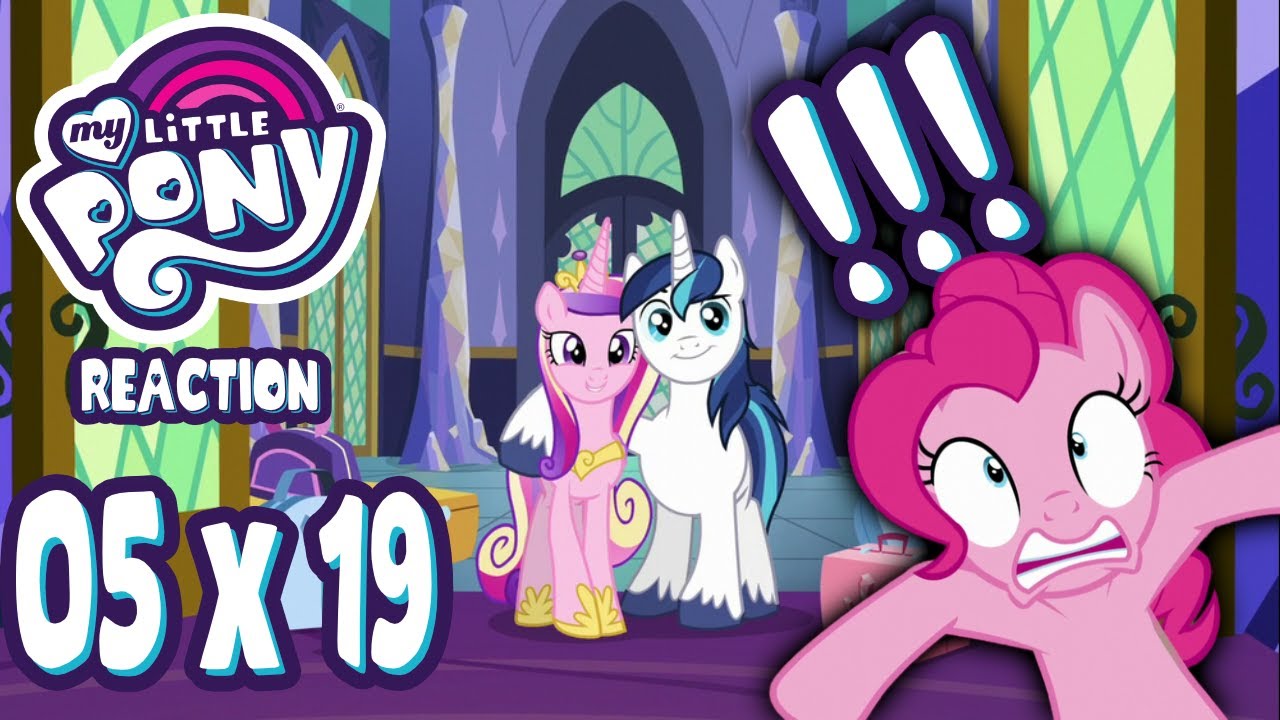 My Little Pony Season 5 Episode 19 Reaction... The Procrastinator Reacts